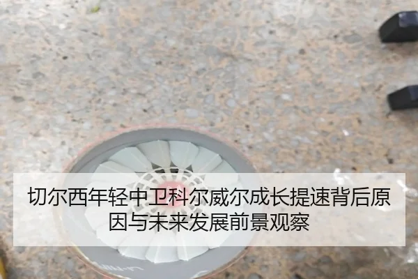 切尔西年轻中卫科尔威尔成长提速背后原因与未来发展前景观察